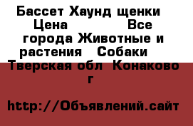 Бассет Хаунд щенки › Цена ­ 20 000 - Все города Животные и растения » Собаки   . Тверская обл.,Конаково г.